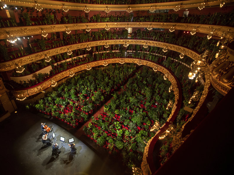 The Barcelona Opera
                          filled its seats with plants for a
                          live-streamed concert during restrictions on
                          gatherings because of COVID-19
