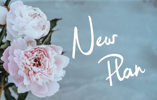 Pink Peonies on a blue background with
                        the words New Plan