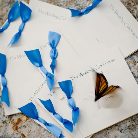 Program covers decorated
                    with blue ribbon. A butterfly sits on one of them