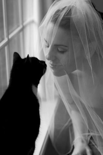 Bride in veil and black and white cat sharing
                    an intimate moment nose to nose lipstick