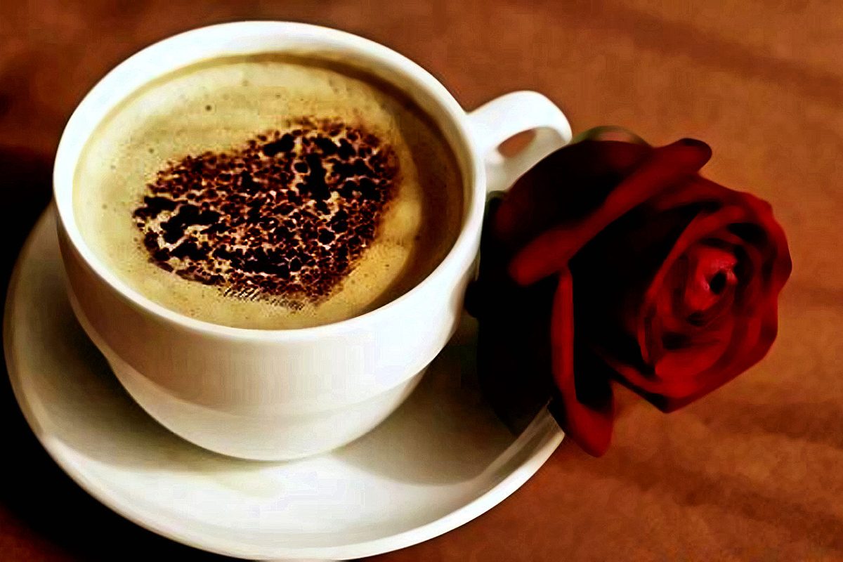 Cup of Coffee with a red rose in the saucer